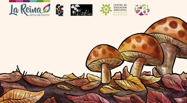 Chocolate Científico: “Reino Fungi ¡una exploración sin límites!” – Lunes  22 de julio – 16:30 horas. | Parque Mahuida La Reina
