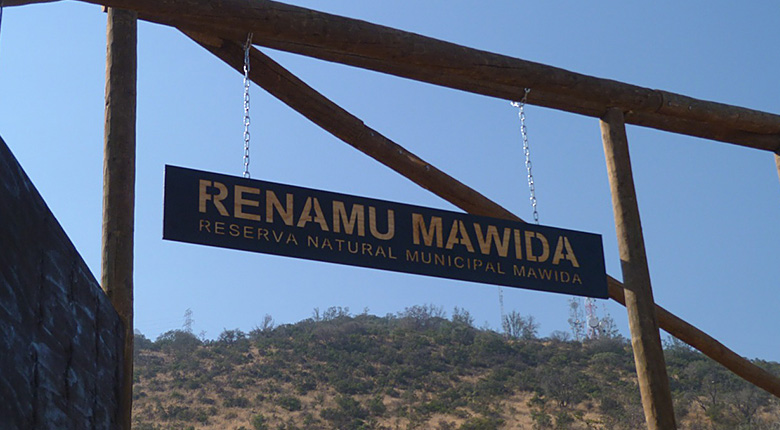 Promulgación RENAMU Mawida (10.03.2021)