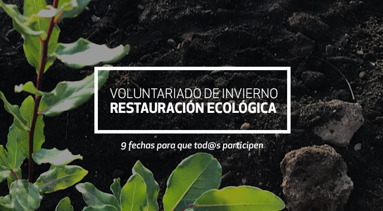 Restauración ecológica en Mahuida – Voluntariado Invierno 2022